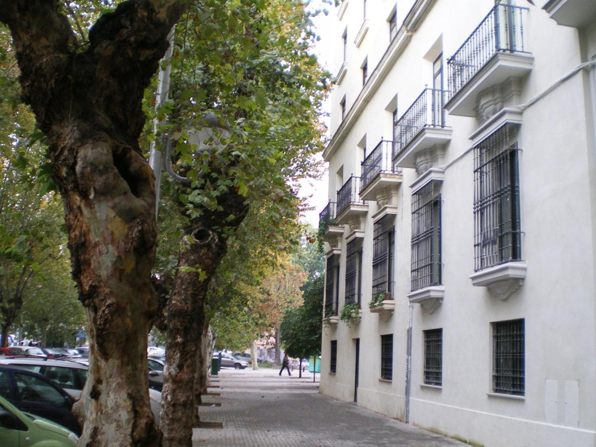 Apartamentos Murallas De Sevilla Екстериор снимка