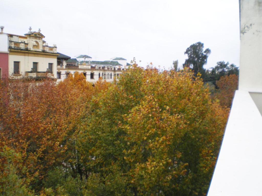 Apartamentos Murallas De Sevilla Екстериор снимка
